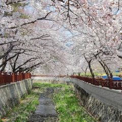 余佐川（ヨジャチョン）
