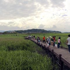順天湾
